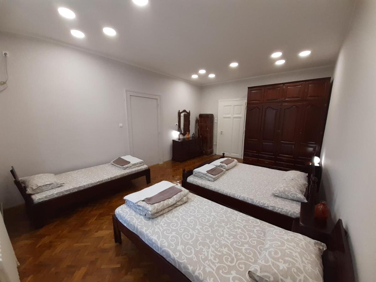 Downtown Apartment In Walk Zone With 3 Bedrooms And Garage Novi Sad Luaran gambar