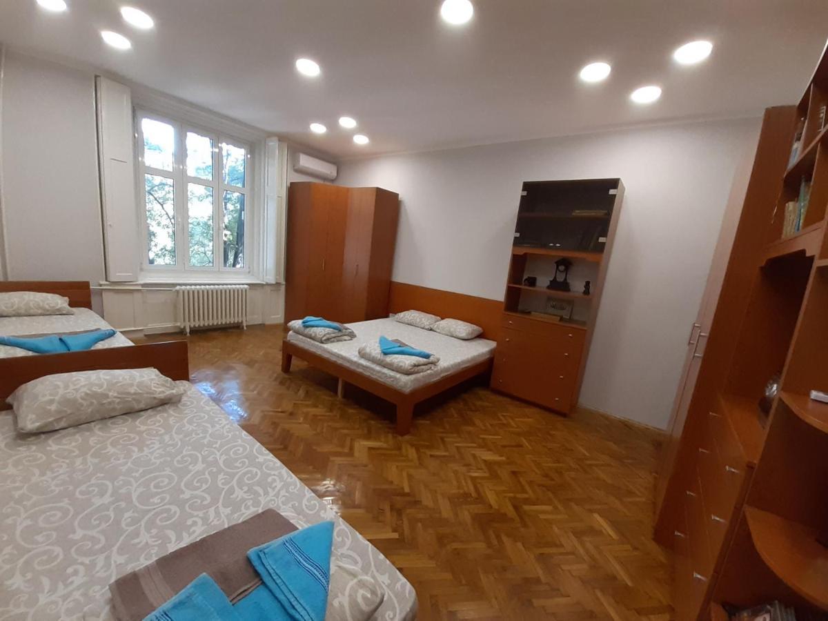 Downtown Apartment In Walk Zone With 3 Bedrooms And Garage Novi Sad Luaran gambar