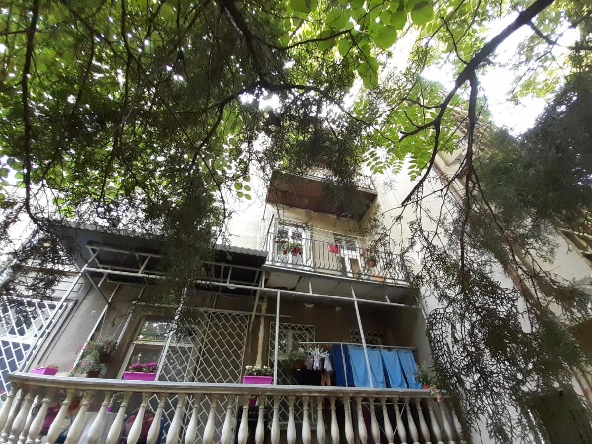 Downtown Apartment In Walk Zone With 3 Bedrooms And Garage Novi Sad Luaran gambar