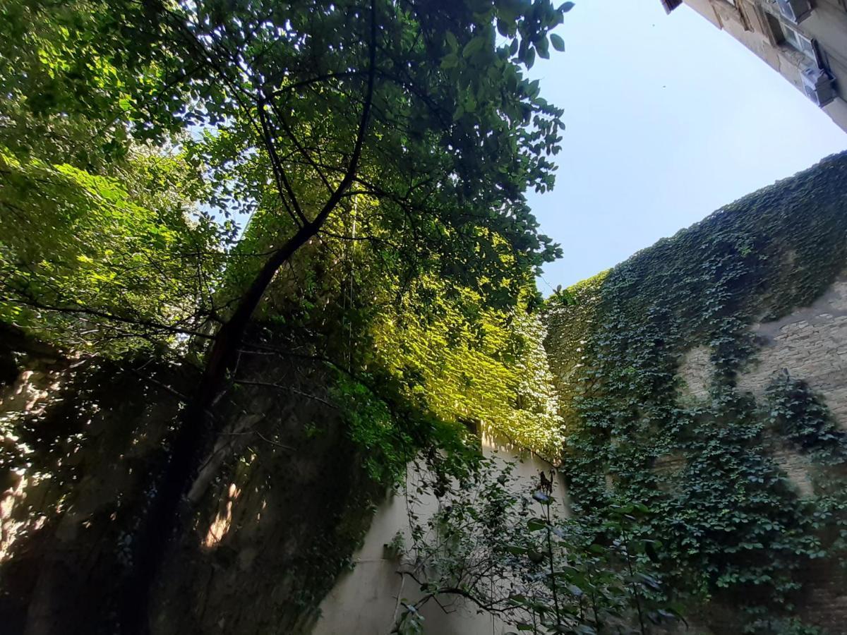 Downtown Apartment In Walk Zone With 3 Bedrooms And Garage Novi Sad Luaran gambar